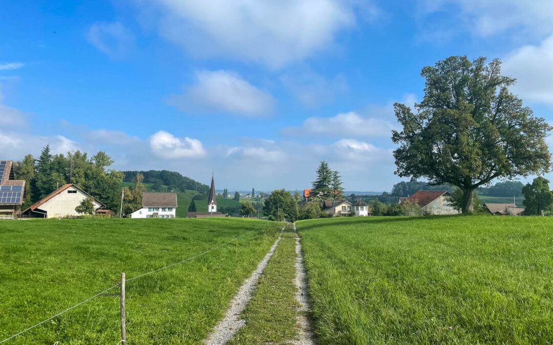 Thurgauer Panoramaweg – von Amriswil nach Bischofszell